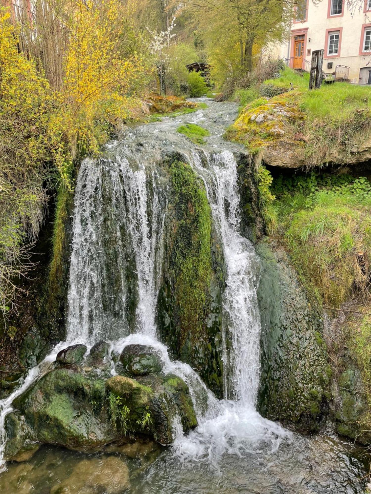 Pension Zur Quelle Deudesfeld Esterno foto