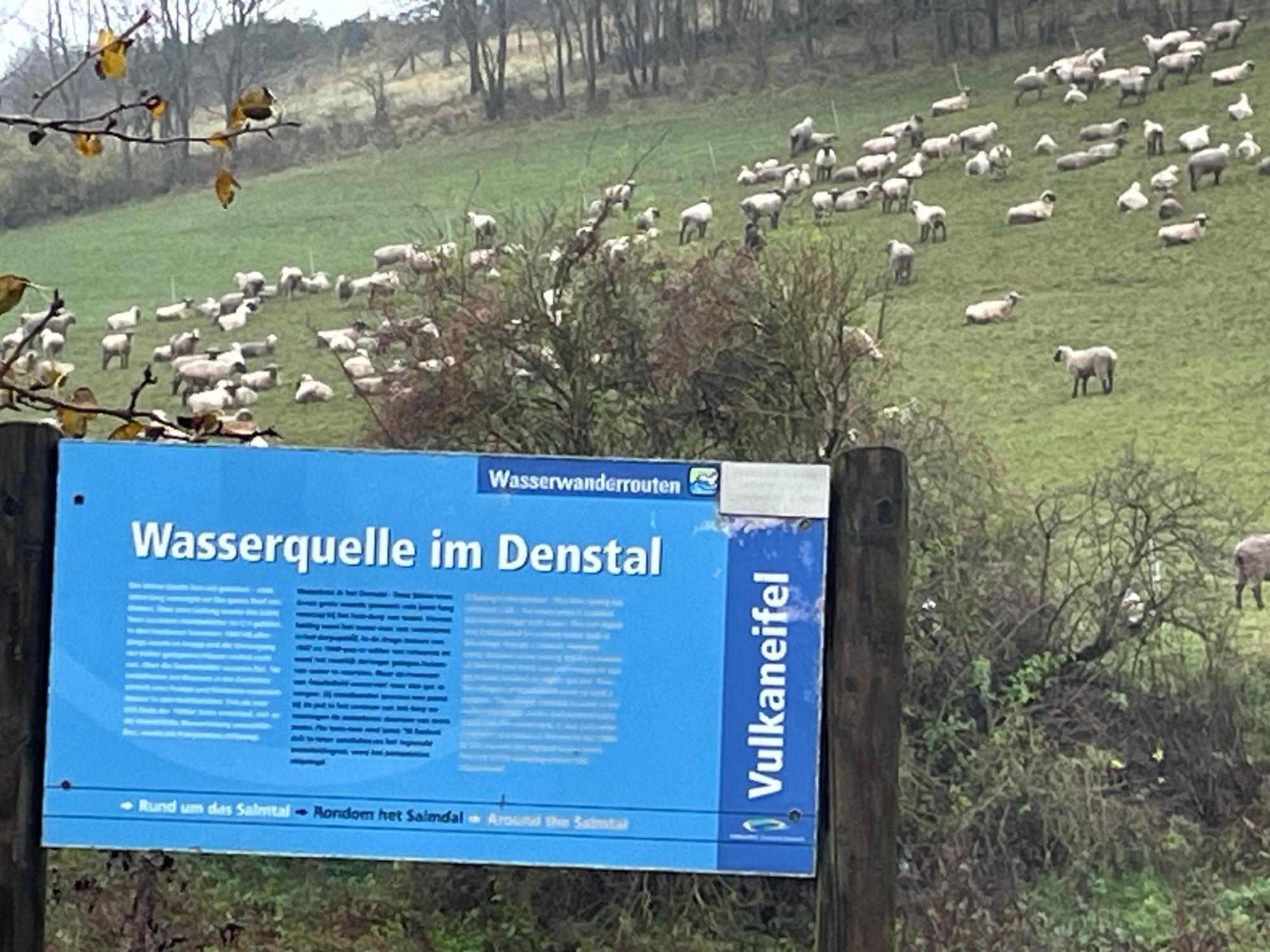 Pension Zur Quelle Deudesfeld Esterno foto