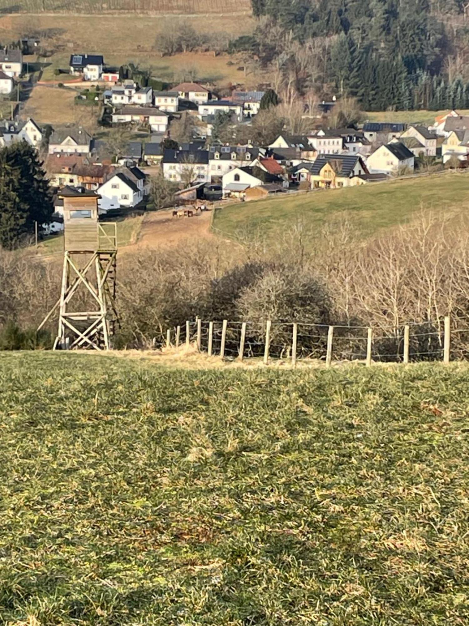 Pension Zur Quelle Deudesfeld Esterno foto