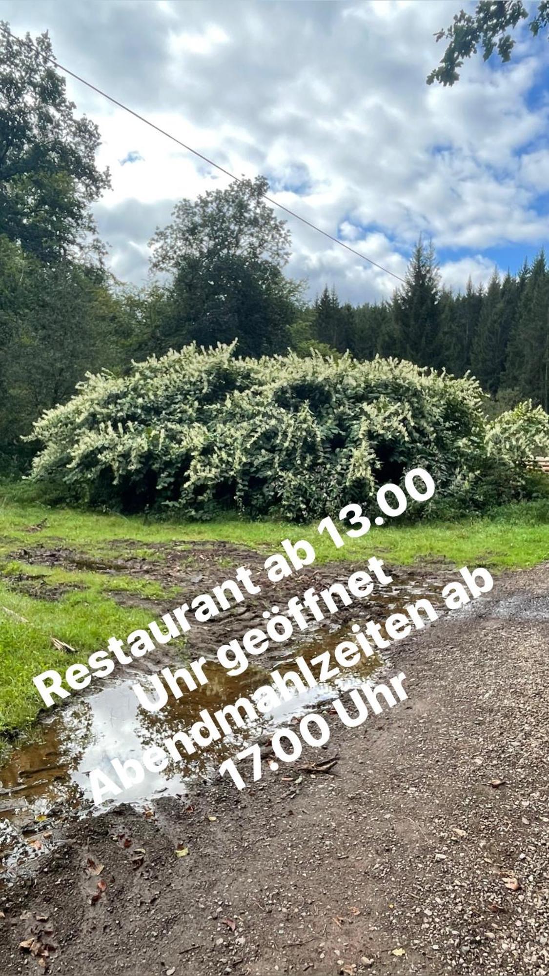 Pension Zur Quelle Deudesfeld Esterno foto